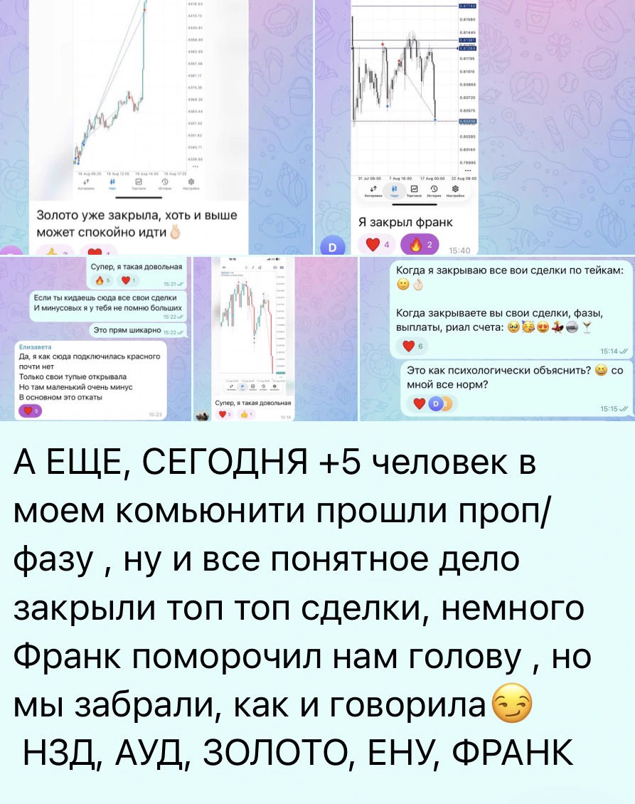 Отзыв участников: результаты и пройденные проп-фазы